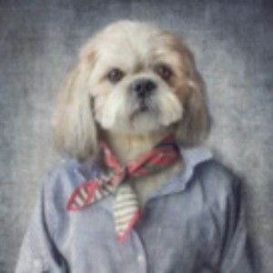 Meet your Posher, Farrah